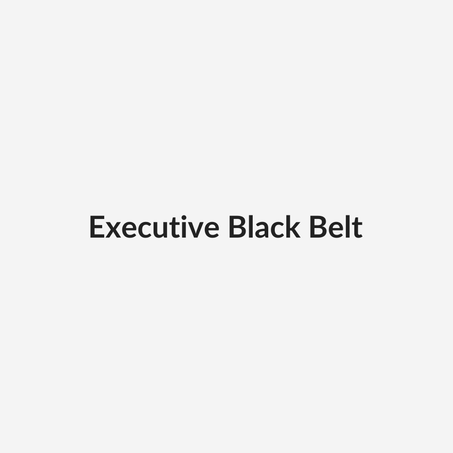 Executive Black Belt placeholder image